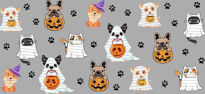 16oz Halloween-J12-517